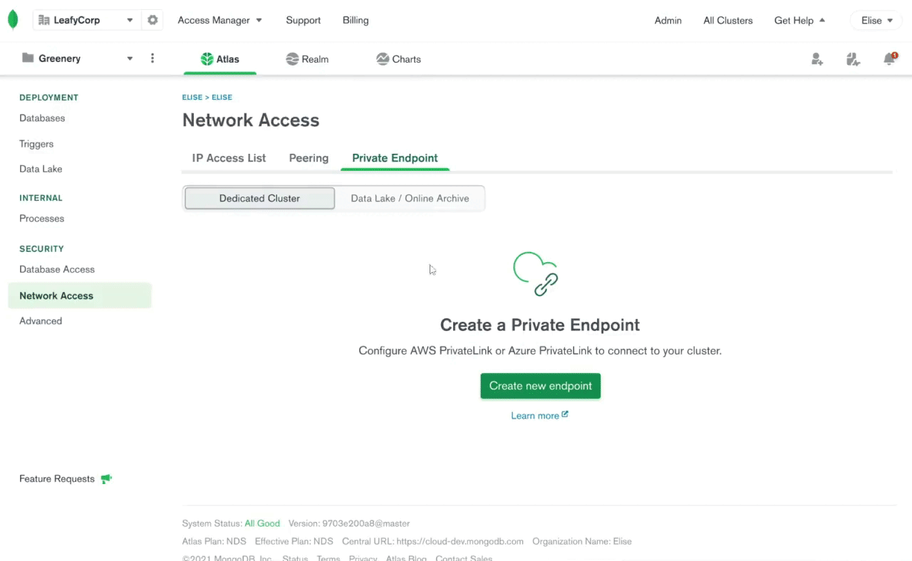 MongoDB Private Link